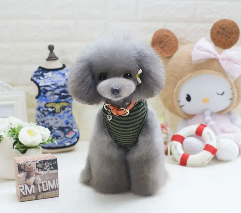 Y12_Newly_design_Summer_Pet_dog_Shirt_Vest_clothes_Fashion_Puppy_dog_Cats_Boy_Breathable_Striped_Vest_T_Shirts_for_Yorkshire_ (6)