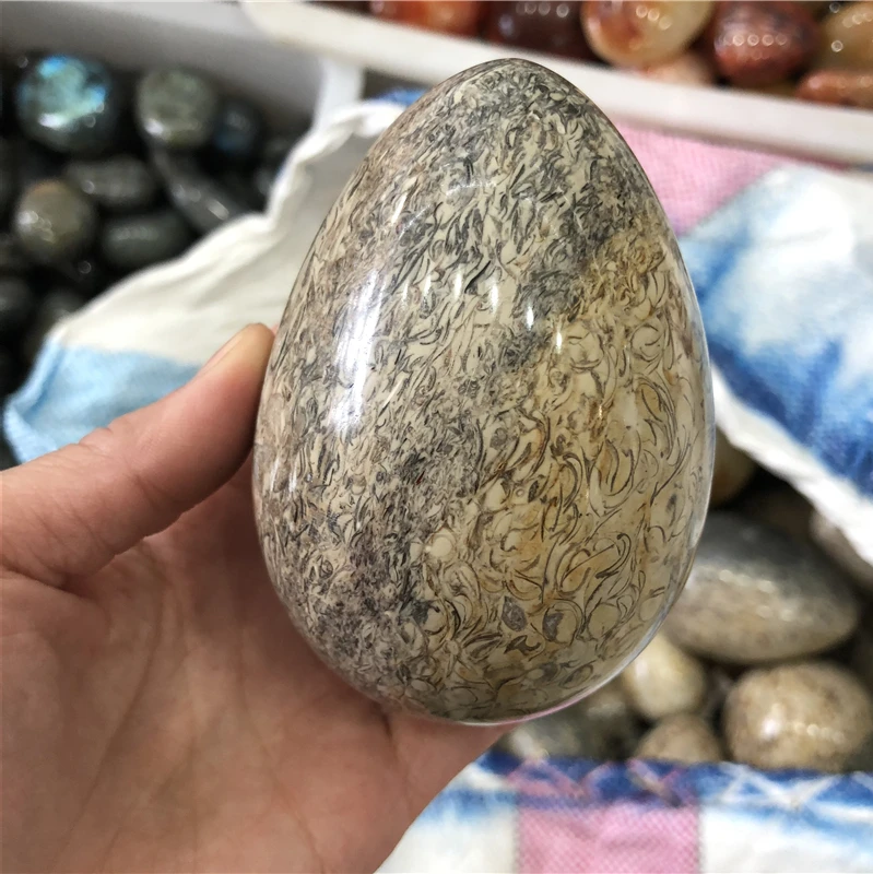 набор динозавров в яйце. яйцо динозавров синее. яйцо динозавра дино ворлд в ассортименте. Fmb95. яйцо динозавра отзывы.