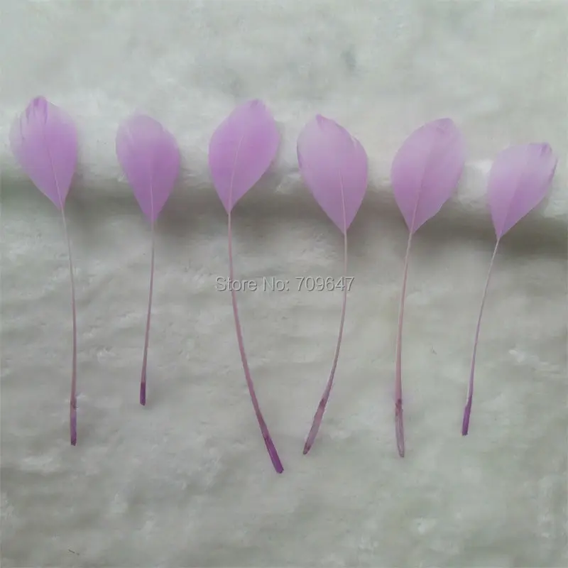 FMQ0122 (1)