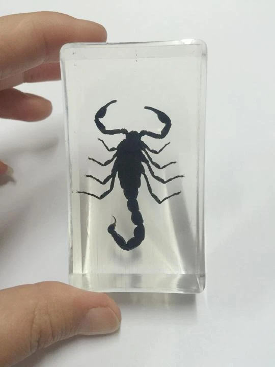 Black Scorpion Cuff
