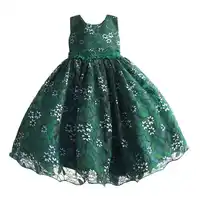 Baby Girls Lace Dress 2018 Kids Evening Dress Children Princess Dresses For Party And Wedding 4-9T