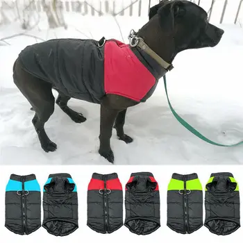 Snow Raincoat