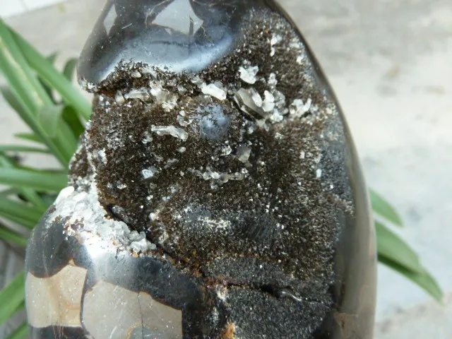 P1040245