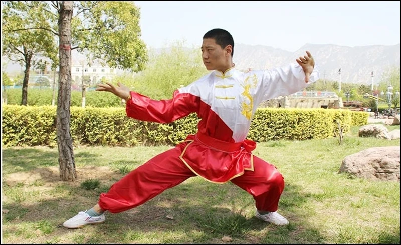 Wushu одежда для детей кунг-фу Униформа детская TA404