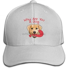 Why are You A Dog унисекс Хлопковые бейсболки шляпа для папы