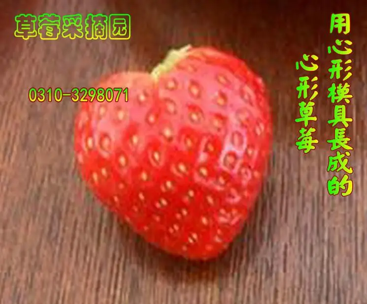 2 шт. форма в форме сердца клубника в форме сердца фрукт в форме сердца специальные деформационные садовые инструменты