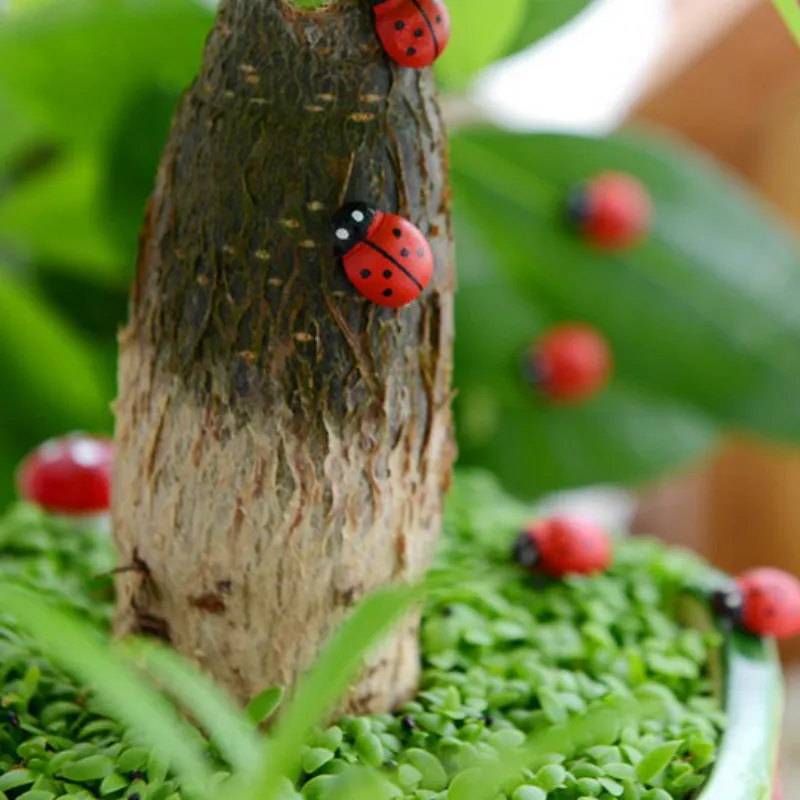 Lady moss coupon code