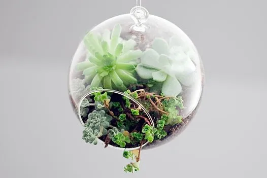 Holder Motorcycle Picture - More Detailed Picture About FREE ... FREE SHIPPING, Hanging Terrarium DIY big Glass globe Wedding Centerpieces/ Candle holder, 15cm ... - Holder Motorcycle Picture - More Detailed Picture About FREE