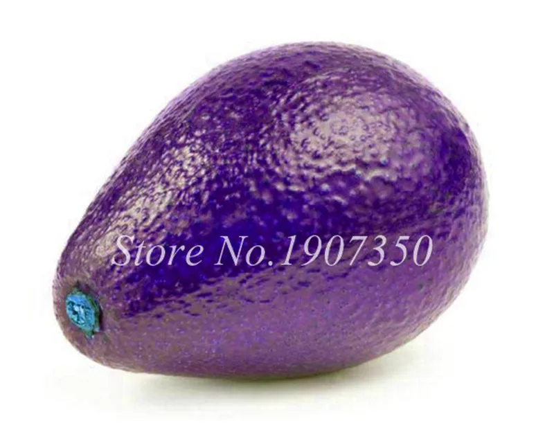 10Pcs Avocado Seeds Best Seeds Online Free Shipping Worldwide