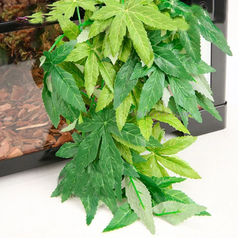 2SS200935-8