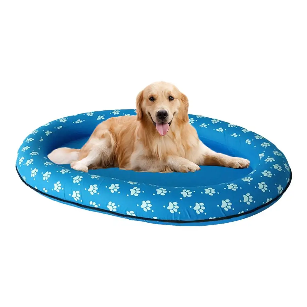 inflatable dog pool toy