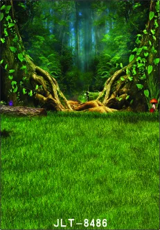 

5x10ft Vinyl Custom Digital Photography Backdrops Props Photo Studio Backgrounds SK-8486