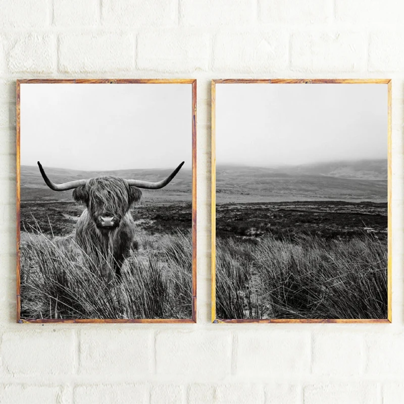 Highland Cow Canvas Art Prints Home Decor