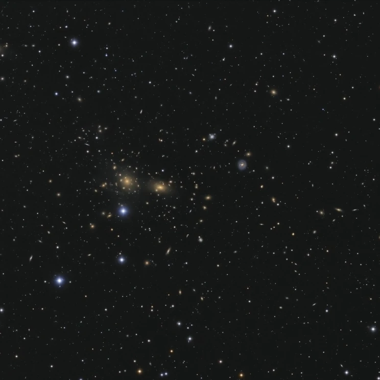 Hundreds of galaxies in the Coma Cluster  Abell 1656 Poster Print (16 x 11)