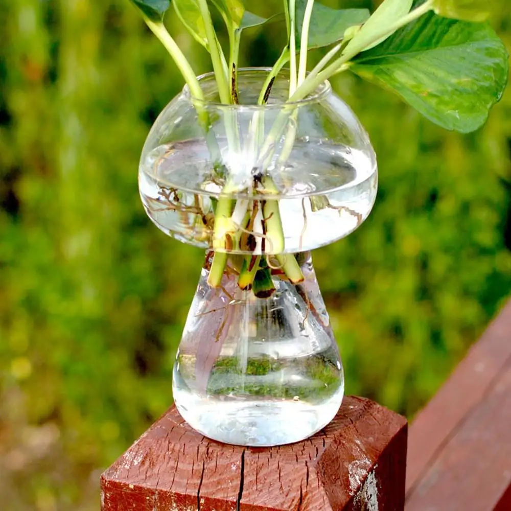 

Mushroom Shaped Glass Vase Glass Terrarium Bottle Decor Modern Style Ornaments Home Decoration Plants Vase Wedding Decoration