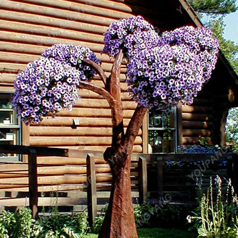 Петуниевое дерево. Петуниевое дерево. Петуниевое дерево зацветет. Рододендрон штамбовый. Каркас деревьев для цветов.