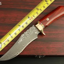 Benys M2 высококачественное Брендовое Дамасская сталь прямой Выживание ножа кемпинга дамасский клинок ручной работы Дамасская сталь коллекция Подарочный нож