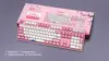 Mouse & Keyboards