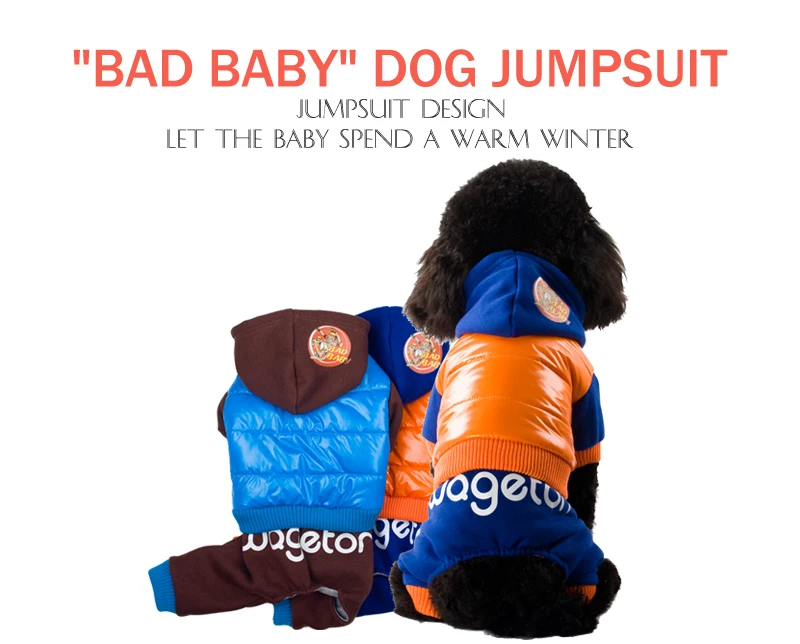 1 clothes for small dogs 