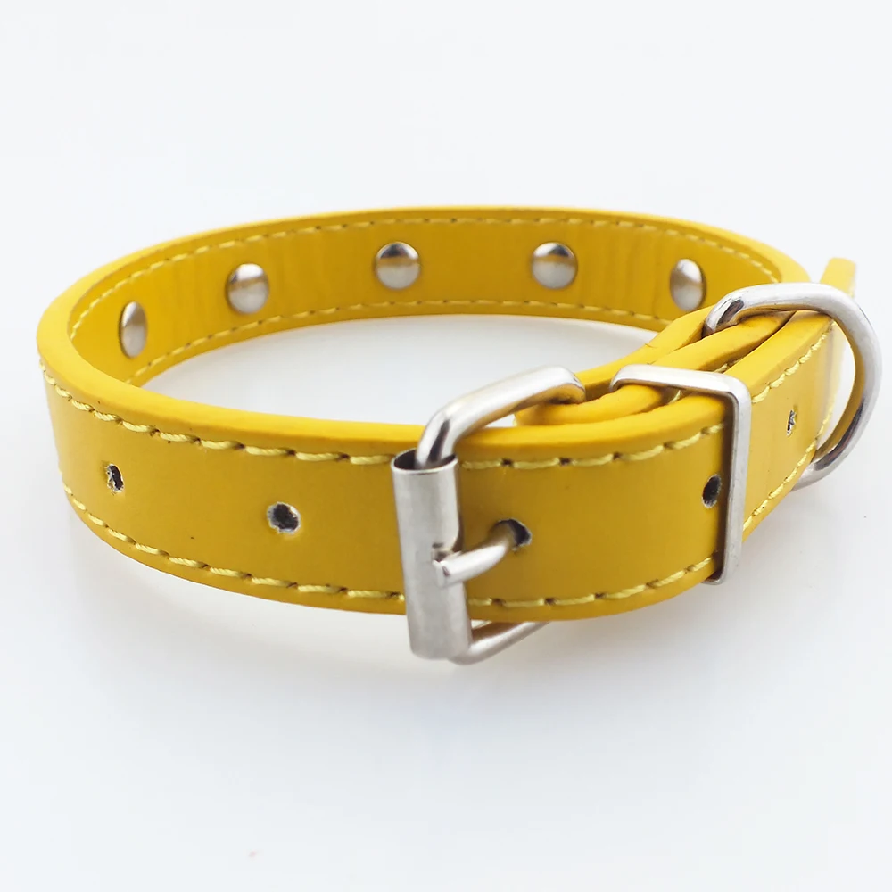 dog collar 2