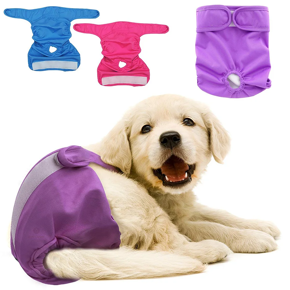 dog reusable nappies