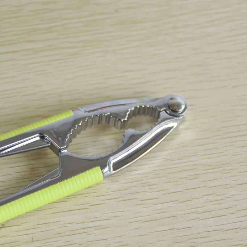 3487390658_1662291397