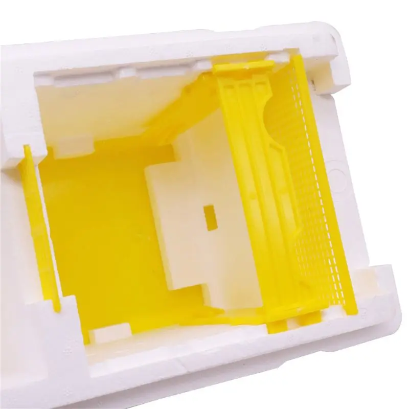 

Bee Hive Beekeeping King Box Pollination Box Foam Frames Beekeeping Tool Kit
