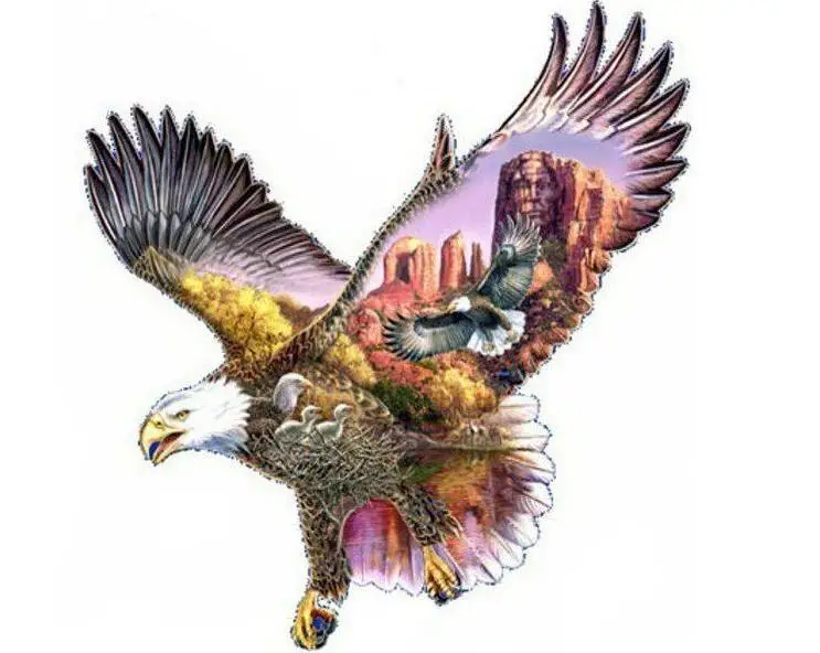 36020190313122634426