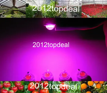 

100pcs New Arrival , 1w full spectrum led chip , 400nm~840nm with bridgelux for medical plant grow ,suit for all stage