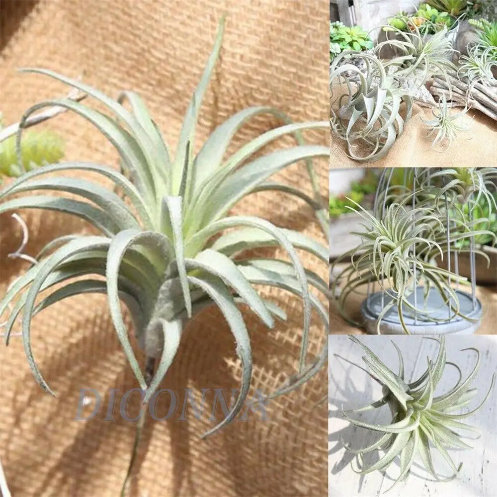 

New Artificial Pineapple Grass Air Plant Fake Floral As Home Wall Wendding Decoration Green