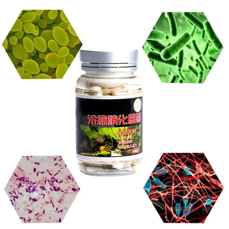 3pcs Nitrobacteria Bio Bacterial Ball Clean Water For Aquarium Fish Tank Pond