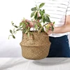 Garden Supplies