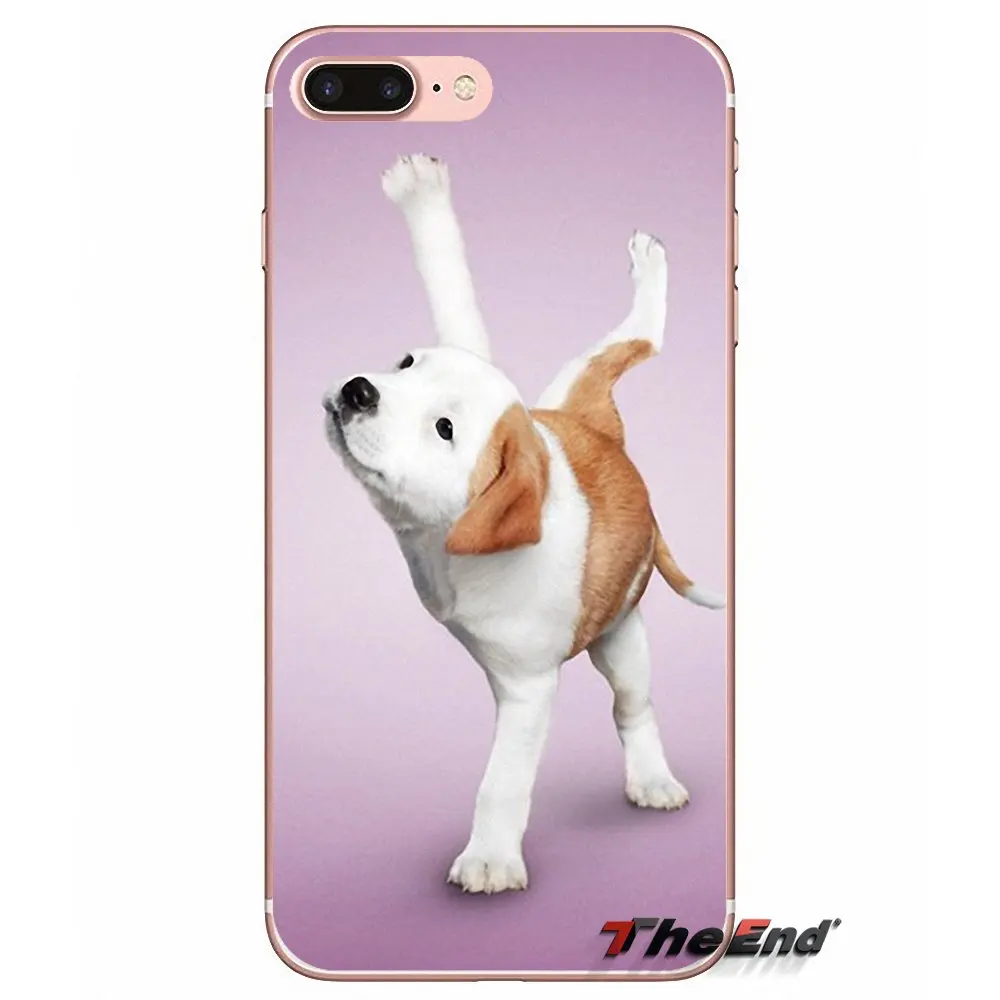 Мягкий чехол для мобильного телефона Yoga Cats dogs Apple iPhone X 4 4S 5 5S SE 5C 6 6S 7 8 Plus 6Plus 7plus plus