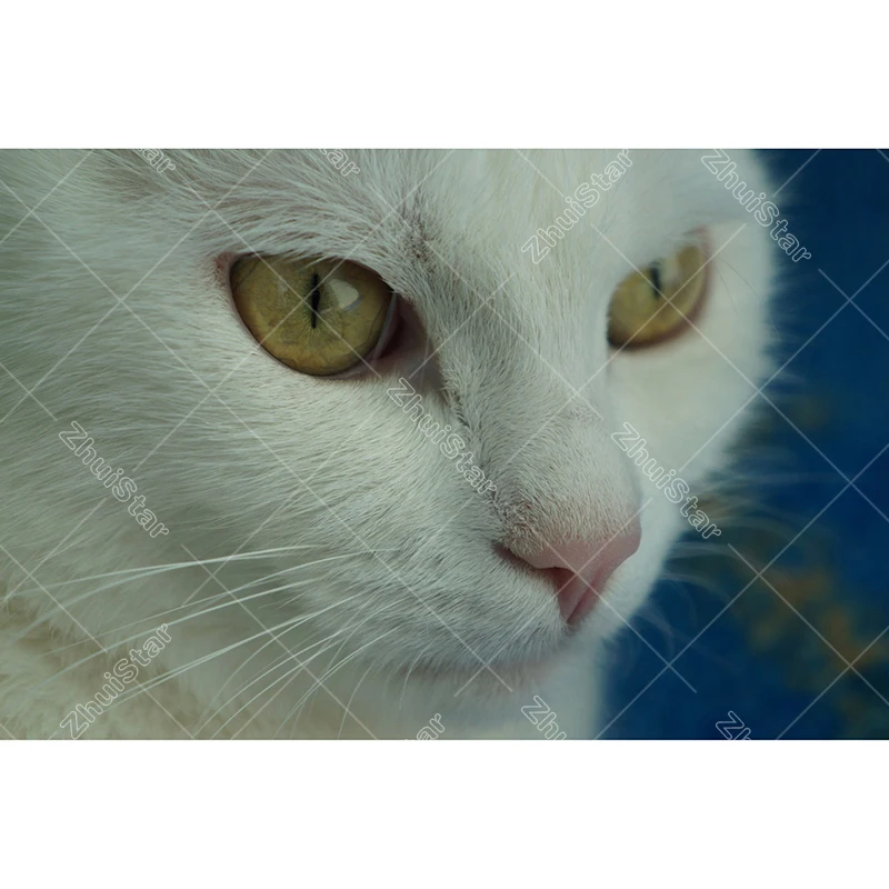 UTB8.RI8rMQydeJk43PUq6AyQpXac 