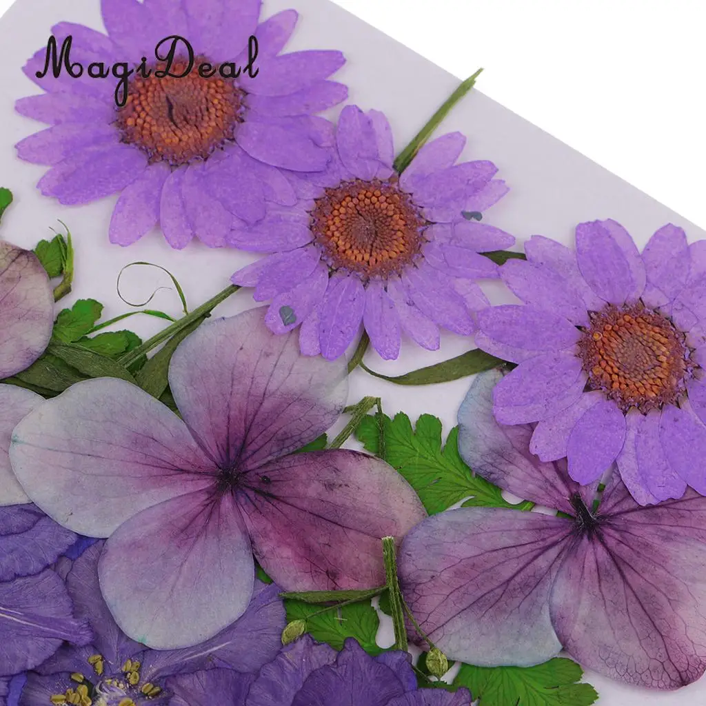 6 Kinds of Pressed Dried Flower Real Dried Flower Plant Specimen Filler for Scrapbooking Card, Art Crafts, Epoxy Resin Jewelry