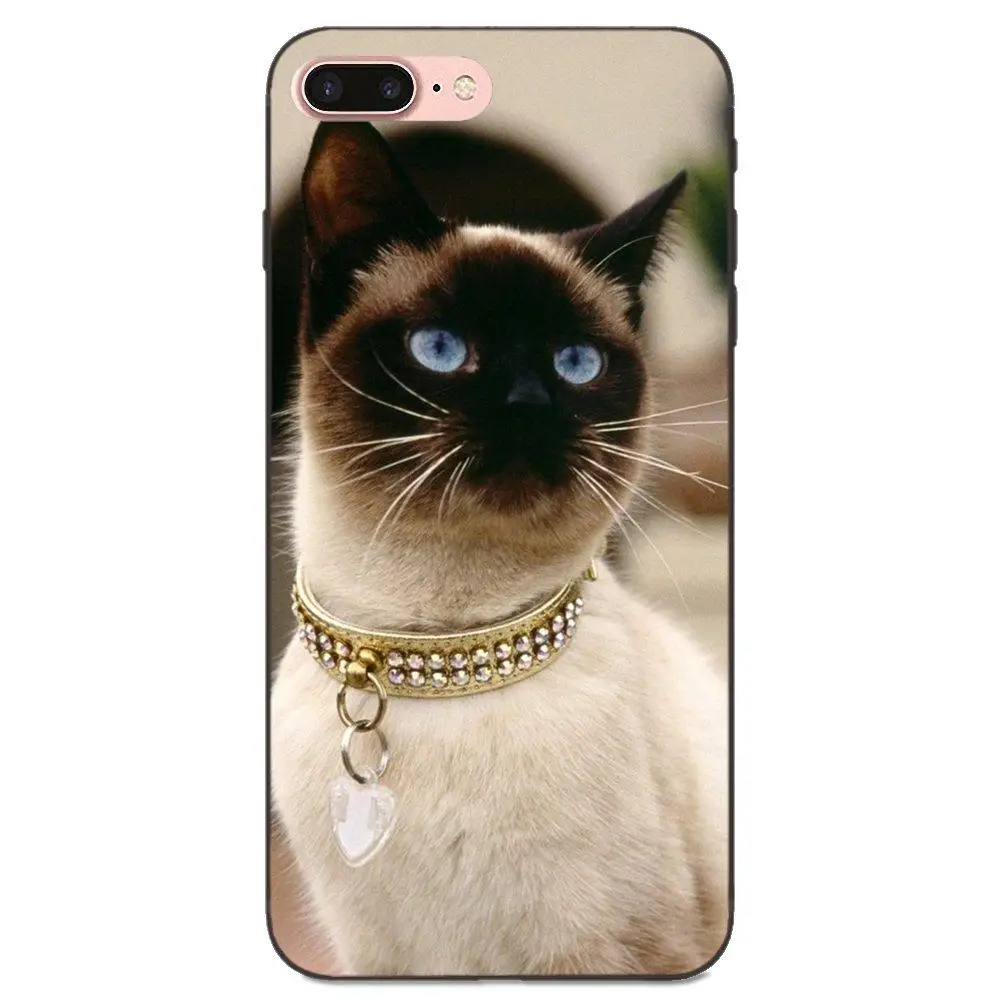 Мягкие сумки из ТПУ чехлы забавные сиамские кошки Pet для Galaxy C5 C7 J1 J2 J3 J330 J5 J6 J7 J730 2017