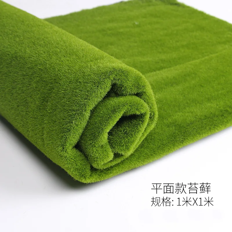 7293923630_1617904826