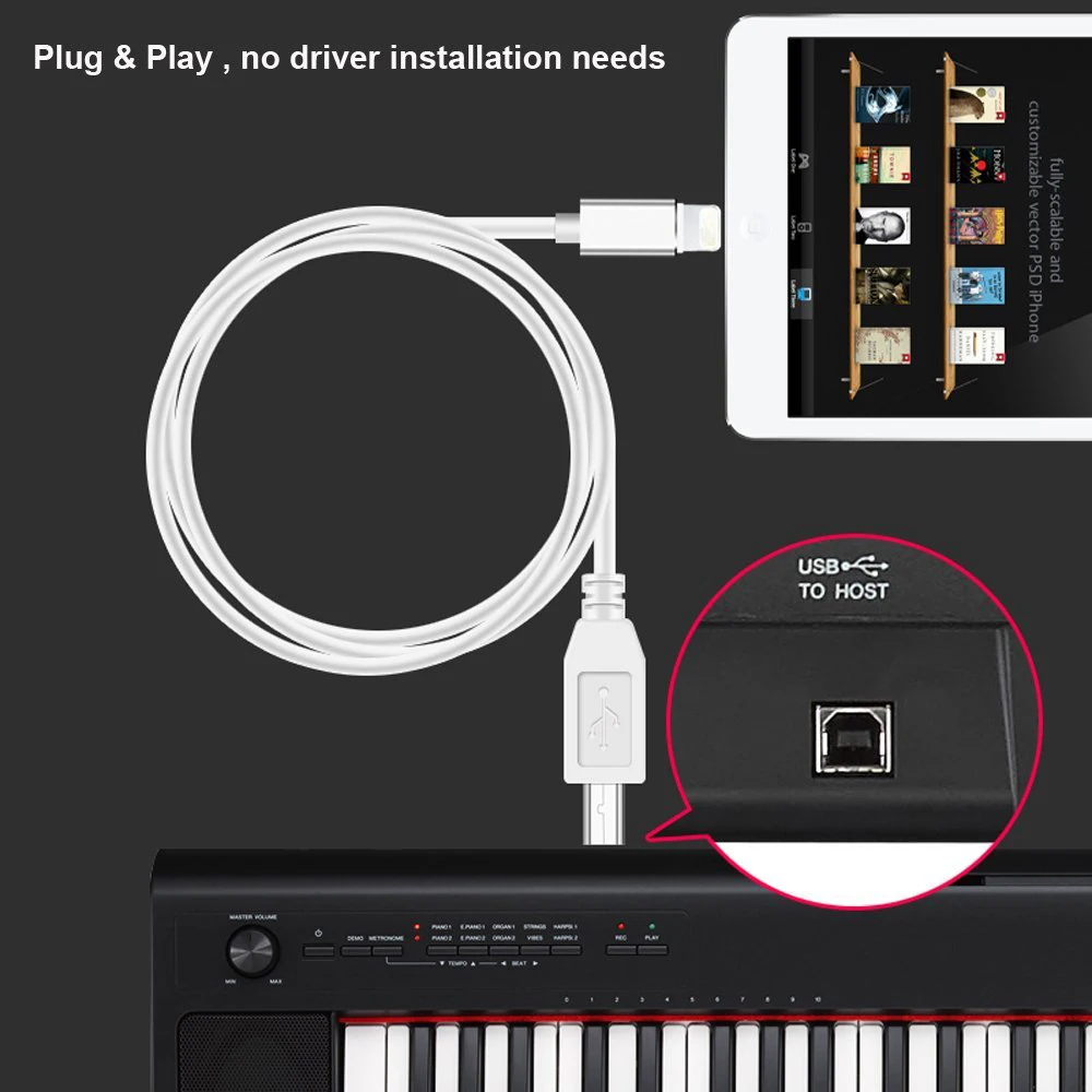 High Speed Cable For Lightning To MIDI USB OTG Type B Keyboard Adapter For iPhone X 8 7 6 iPad Electric Piano Audio Connector High Speed Cable For Lightning To MIDI USB OTG Type B Keyboard Adapter For iPhone X 8 7 6 iPad Electric Piano Audio Connector