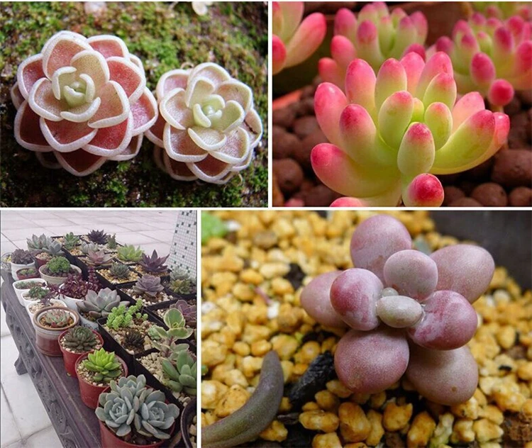 9825018071_291392640