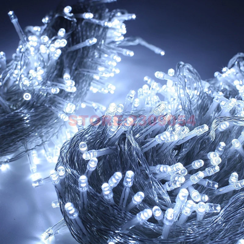 3663846242_517768898