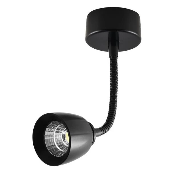 Flexible spot sale light