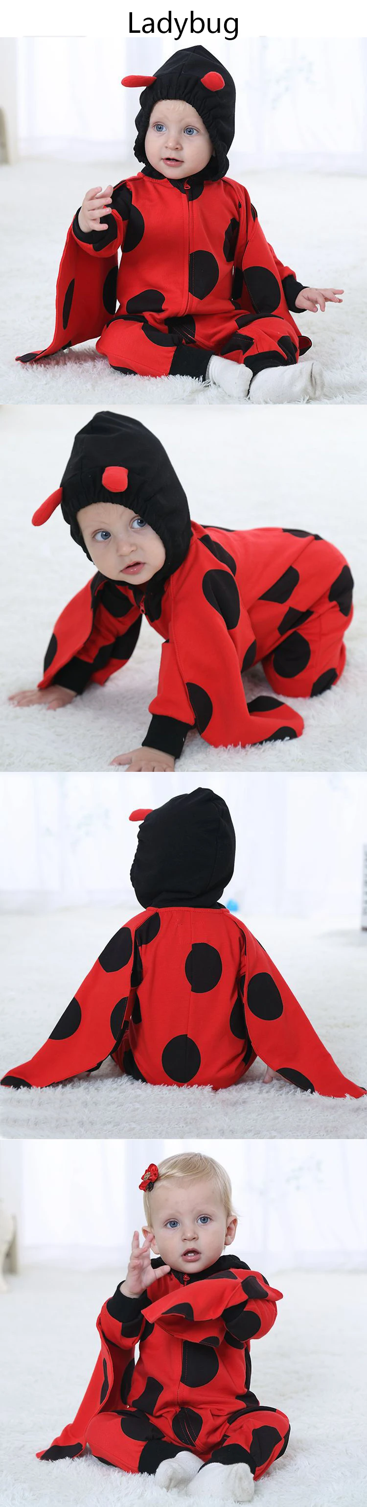 H3171Ladybug2