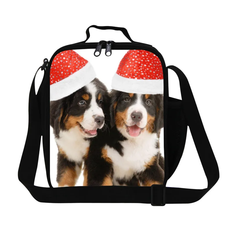 3D принт собаки с розой детские сумки для еды детская дорожная сумка для пикника девочек портативный пакет еды термо Ланч сумка для офиса - Цвет: Прозрачный