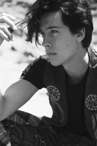 Q2700 Posters and Prints Cole Sprouse New Custom Movie Star Actor 24x36'' Art Poster Canvas Painting Home Decor | Дом и сад