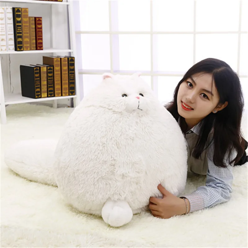 my chubby cat plush