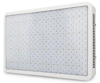 1600W