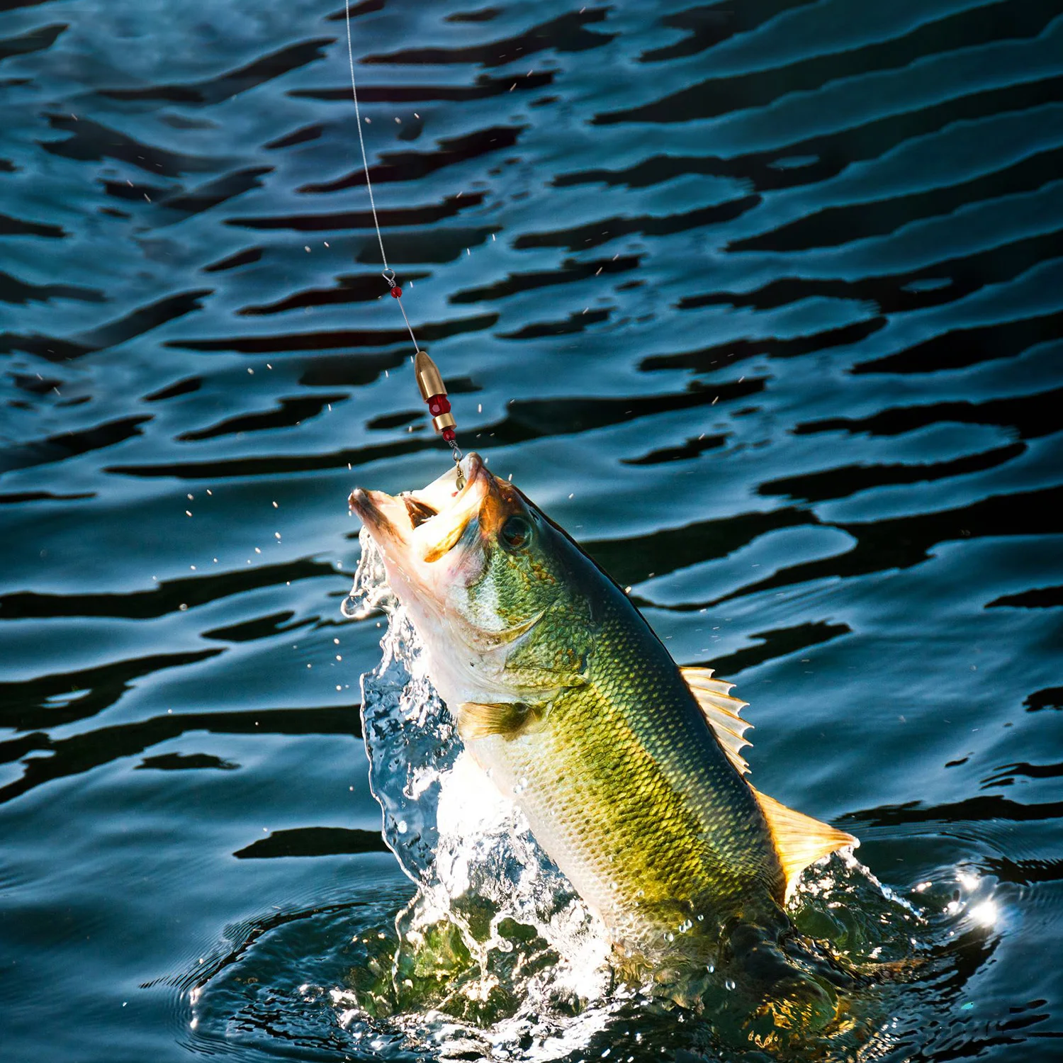 лодка для рыбалки. рыбалка вода. поплавок в воде. подводный мир реки. рыбаклев.