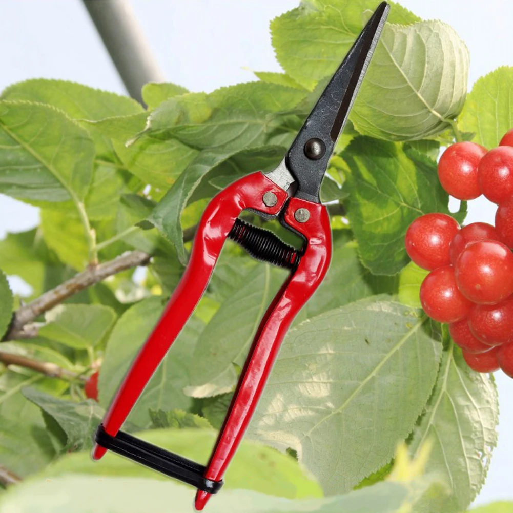 

1Pcs Carbon Steel Straight Head Gardening Scissors Branch Cutting Shears Bypass Pruner