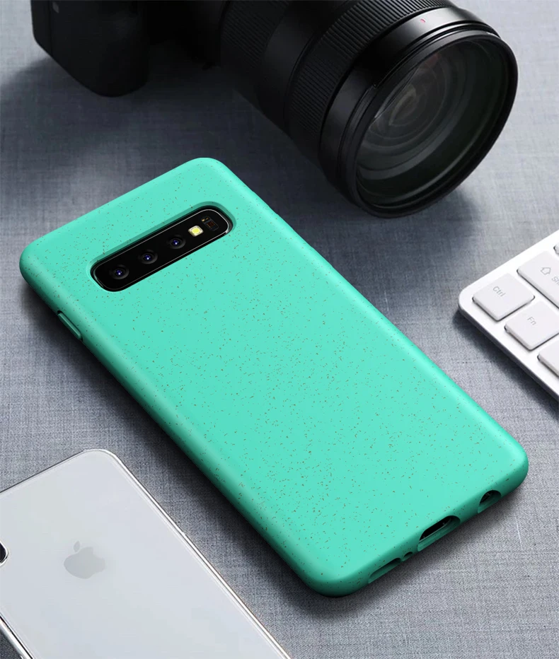 Samsung S10 Plus Case (11)