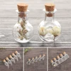 5pcs/pack Mini Transparent Glass Empty Sample Jars Wishing Bottle Empty Storage Vials DIY Pendants Cork Stopper Home Decoration ► Photo 1/6